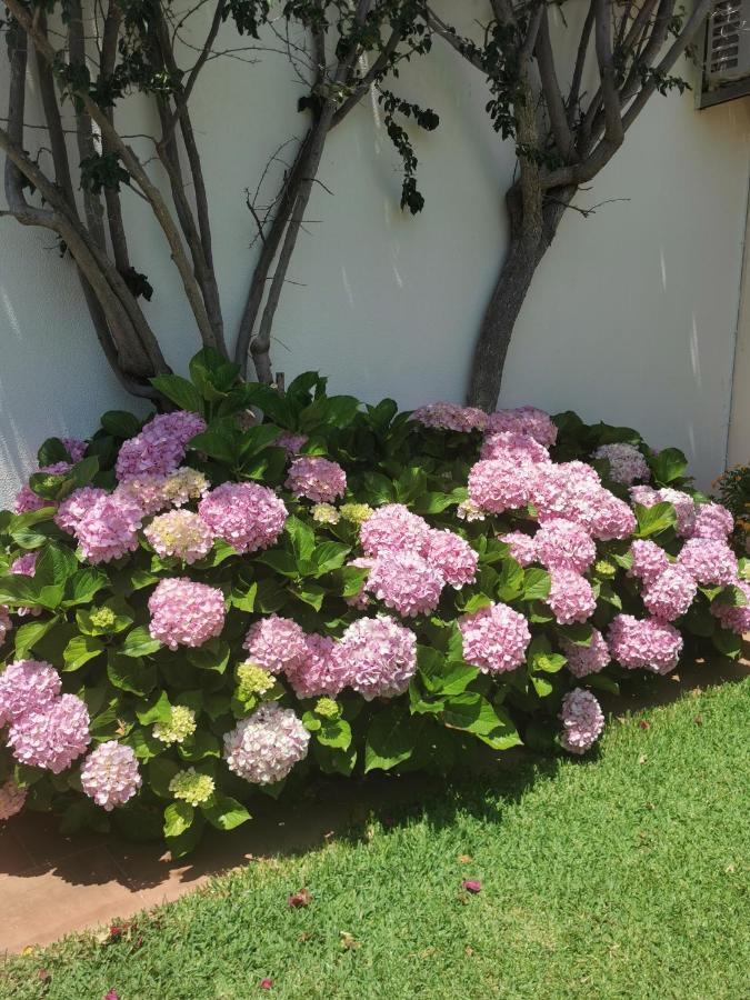 Luxury 3 Bedroom Villa With Private Pool カバナス・デ・タビラ エクステリア 写真